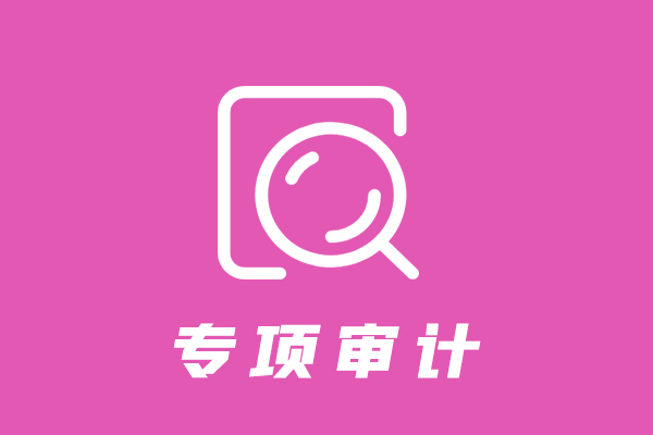 专项审计.jpg